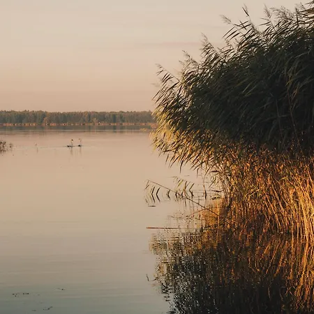Watermark Usedom - Premium Direkt Am Wasser Mit Eigener Badestelle -haus Welle Feriehus