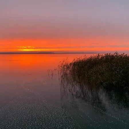 Watermark Usedom - Premium Direkt Am Wasser Mit Eigener Badestelle -haus Welle Feriehus *