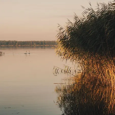 Watermark Usedom - Premium Direkt Am Wasser Mit Eigener Badestelle - Haus Welle Hébergement de vacances